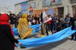 نمایش 