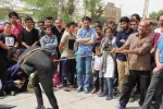 نمایش 