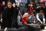 نمایش 