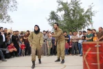 نمایش 