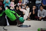 نمایش 