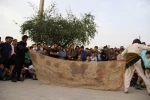 نمایش 