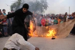 نمایش 