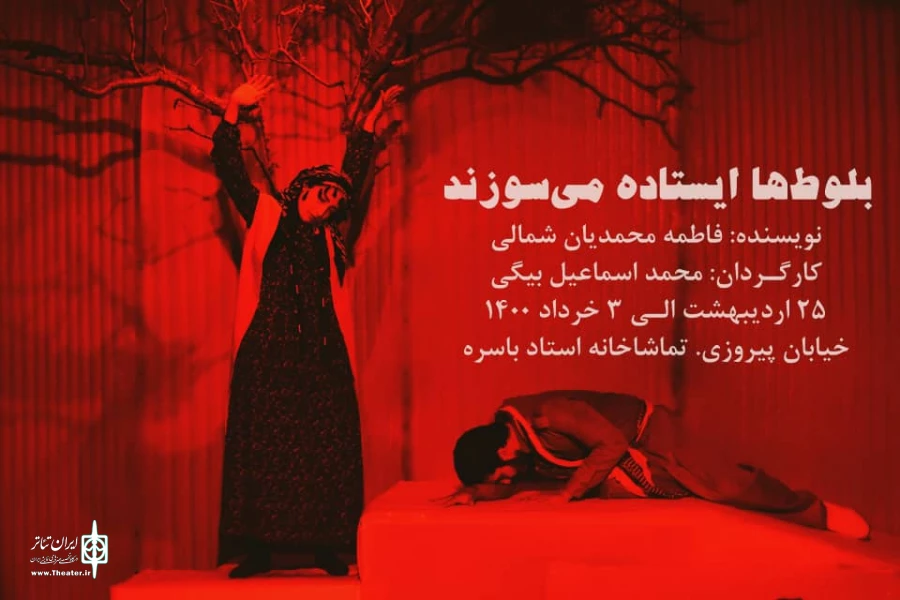 "بلوط‌ها ایستاده می‌سوزند" به روی صحنه رفت 3