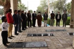 جشنواره شرهانی 2