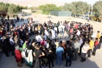 جشنواره شرهانی 5