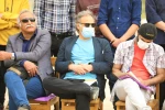 جشنواره شرهانی 11